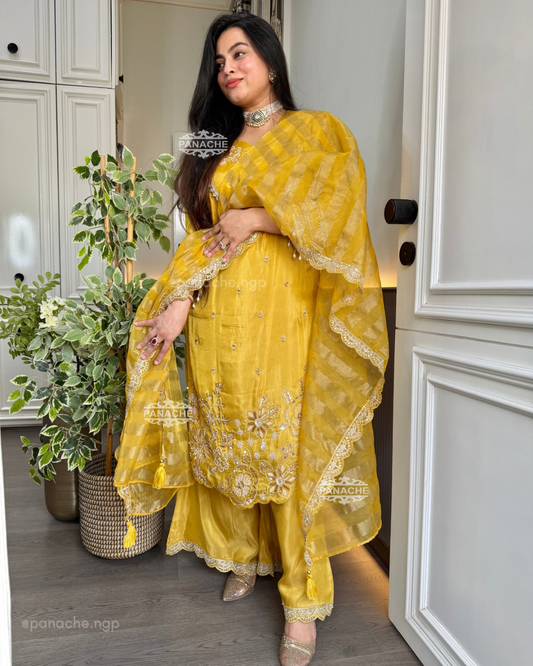 🛍️ Sequein partywear Pret